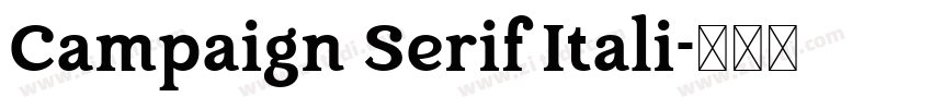 Campaign Serif Itali字体转换